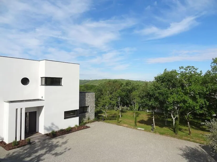 ヴィラ Luxueux Domaine Dal Cayrou Grande Piscine Cahorsヴィラ